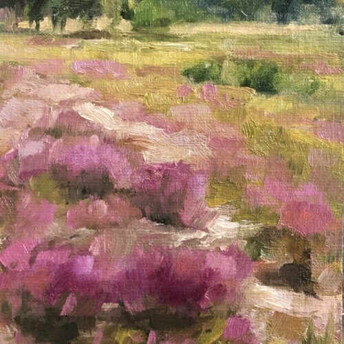 Heide Grote Peel